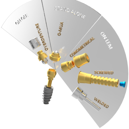 O-Mua Orbit Abutment Mulem1